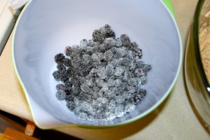 dewbs3