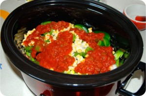 SlowCookerTex-MexChicken2