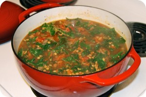SpicyLentilandKaleSoup2