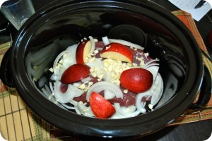 CrockPotVenisonRoast1